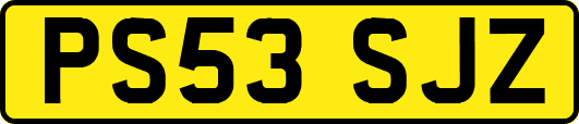 PS53SJZ