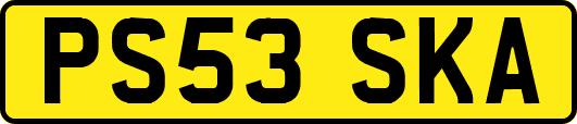 PS53SKA