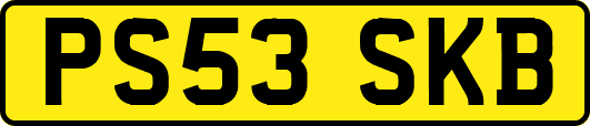 PS53SKB