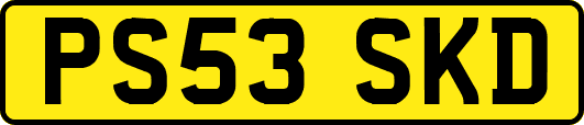 PS53SKD