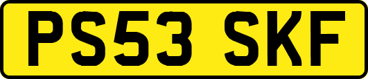 PS53SKF