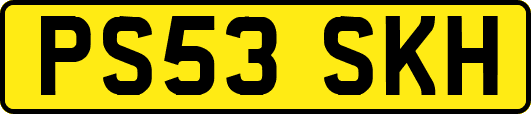 PS53SKH