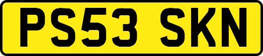 PS53SKN
