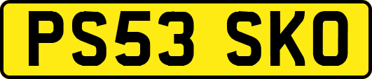 PS53SKO