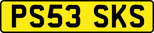 PS53SKS