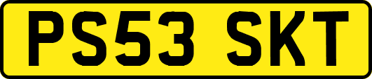 PS53SKT