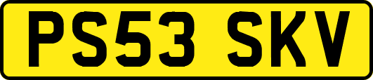 PS53SKV