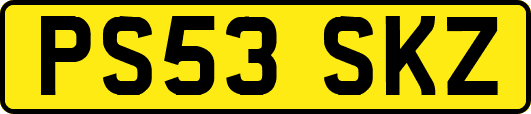 PS53SKZ
