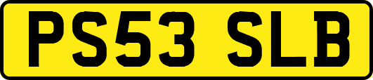 PS53SLB