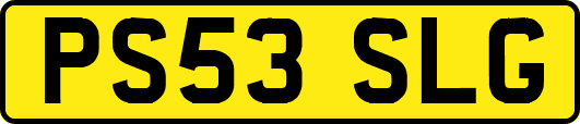 PS53SLG