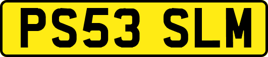 PS53SLM