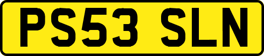 PS53SLN