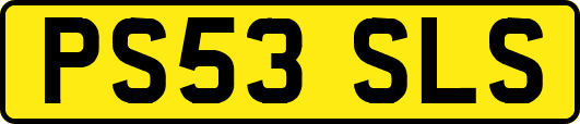 PS53SLS