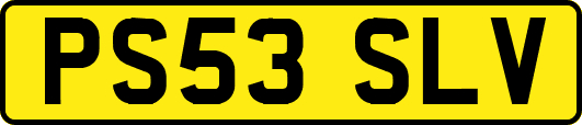 PS53SLV