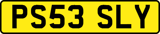PS53SLY