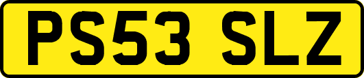 PS53SLZ