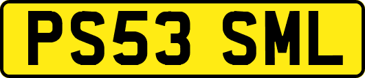 PS53SML
