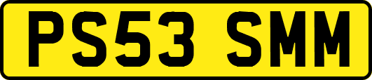 PS53SMM