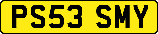 PS53SMY