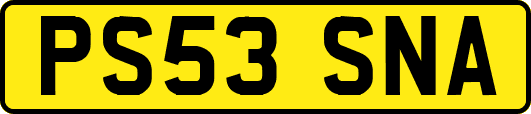 PS53SNA