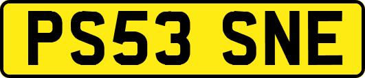 PS53SNE