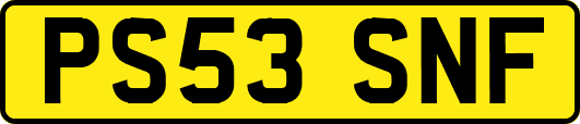 PS53SNF