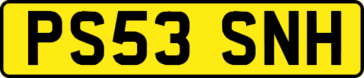 PS53SNH