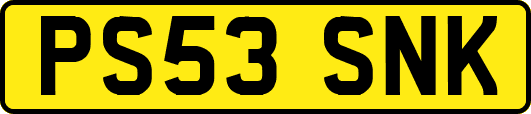 PS53SNK