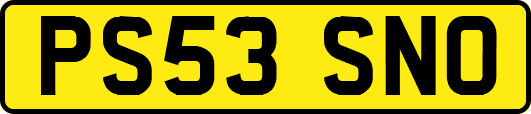 PS53SNO