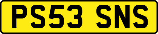 PS53SNS