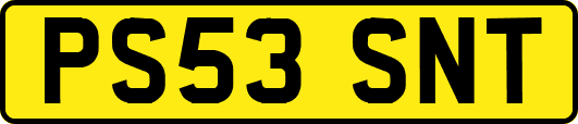 PS53SNT
