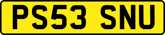 PS53SNU