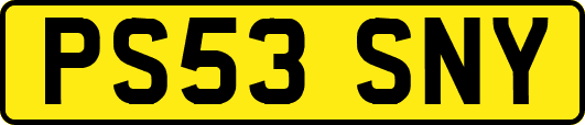 PS53SNY