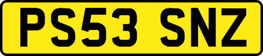 PS53SNZ