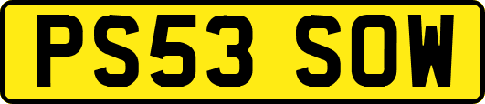 PS53SOW