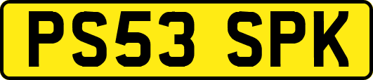 PS53SPK