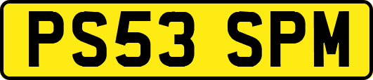 PS53SPM