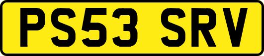 PS53SRV