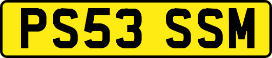 PS53SSM