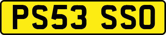 PS53SSO