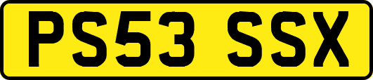 PS53SSX