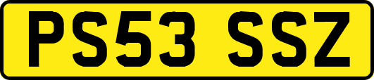 PS53SSZ