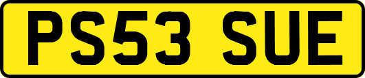 PS53SUE
