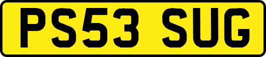PS53SUG