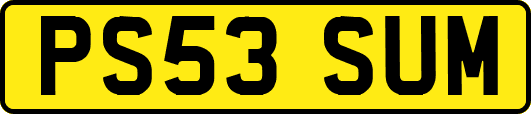 PS53SUM
