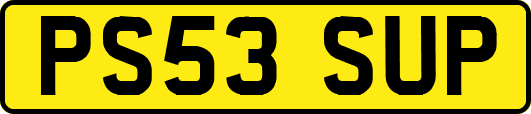 PS53SUP