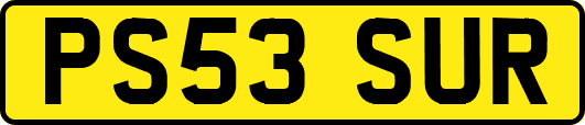 PS53SUR