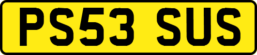 PS53SUS
