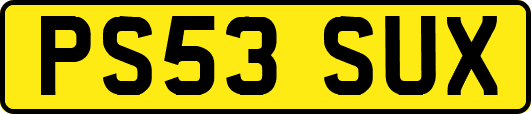 PS53SUX