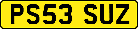PS53SUZ